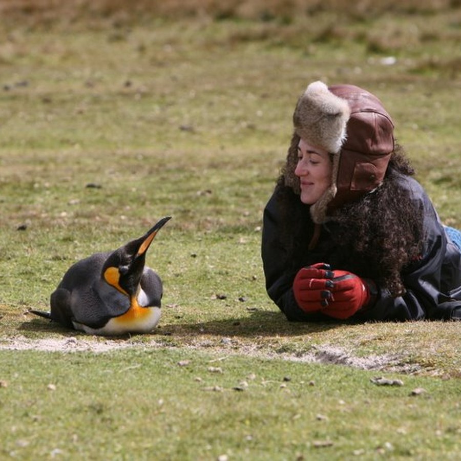 The author lying face to face with a King penguin on a windswept shore